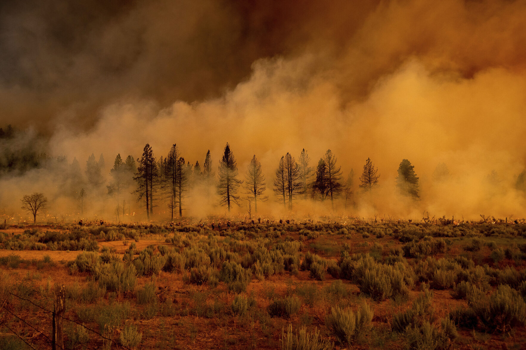 California Wildfires